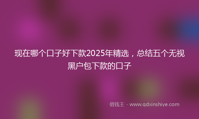 现在哪个口子好下款2025年精选，总结五个无视黑户包下款的口子