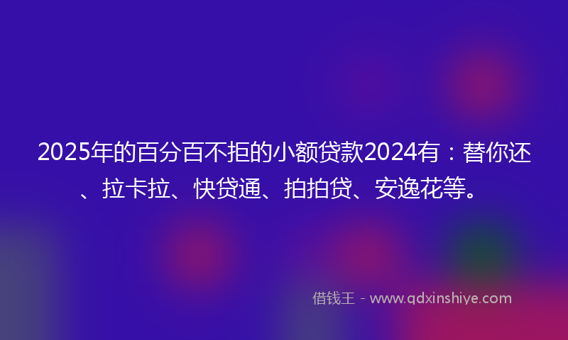 2025年的百分百不拒的小额贷款2024有：替你还、拉卡拉、快贷通、拍拍贷、安逸花等。