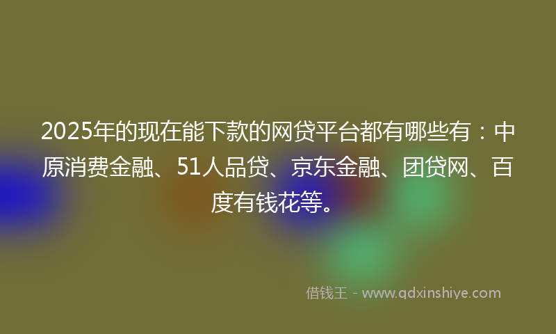 2025年的现在能下款的网贷平台都有哪些有：中原消费金融、51人品贷、京东金融、团贷网、百度有钱花等。
