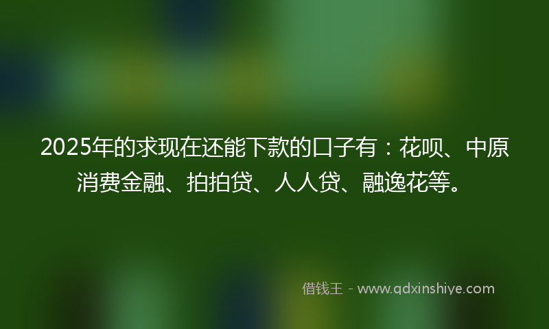 2025年的求现在还能下款的口子有：花呗、中原消费金融、拍拍贷、人人贷、融逸花等。