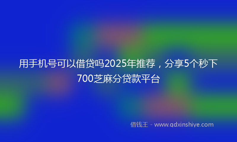 用手机号可以借贷吗2025年推荐，分享5个秒下700芝麻分贷款平台