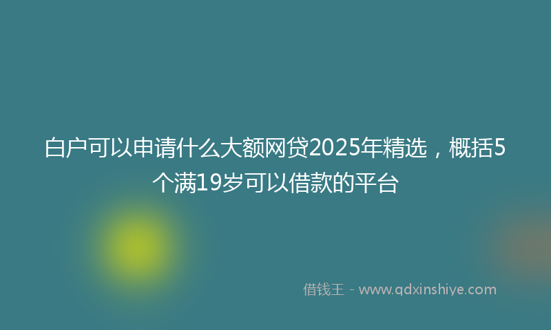 白户可以申请什么大额网贷2025年精选，概括5个满19岁可以借款的平台