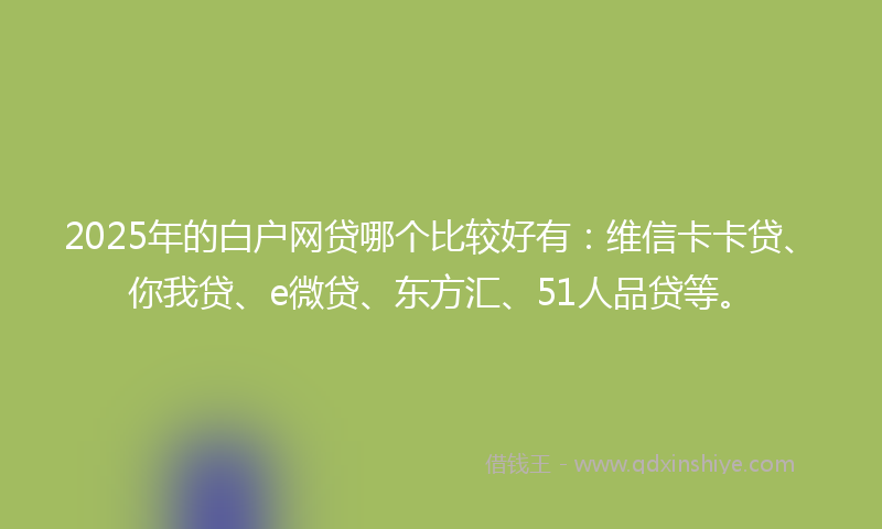 2025年的白户网贷哪个比较好有：维信卡卡贷、你我贷、e微贷、东方汇、51人品贷等。