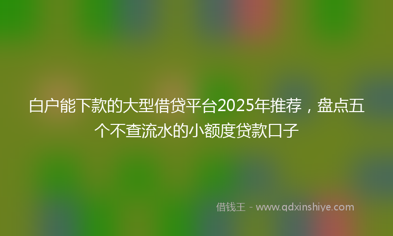 白户能下款的大型借贷平台2025年推荐，盘点五个不查流水的小额度贷款口子