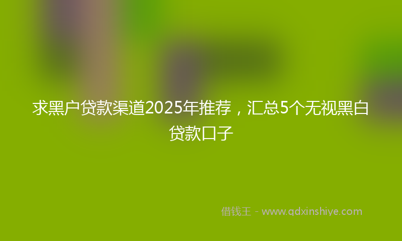求黑户贷款渠道2025年推荐，汇总5个无视黑白贷款口子