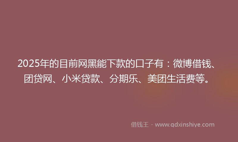 2025年的目前网黑能下款的口子有：微博借钱、团贷网、小米贷款、分期乐、美团生活费等。