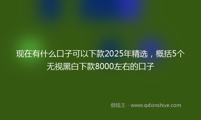 现在有什么口子可以下款2025年精选，概括5个无视黑白下款8000左右的口子