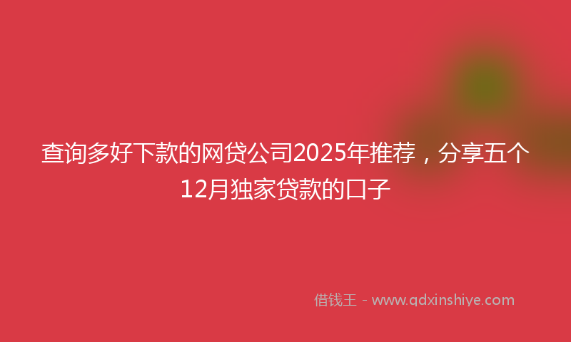 查询多好下款的网贷公司2025年推荐，分享五个12月独家贷款的口子