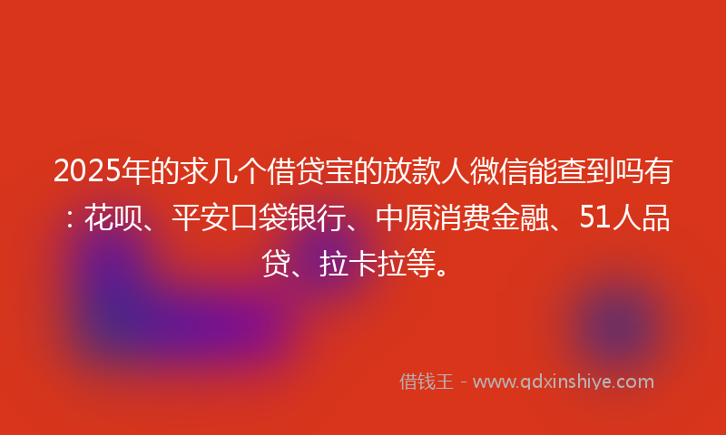 2025年的求几个借贷宝的放款人微信能查到吗有：花呗、平安口袋银行、中原消费金融、51人品贷、拉卡拉等。