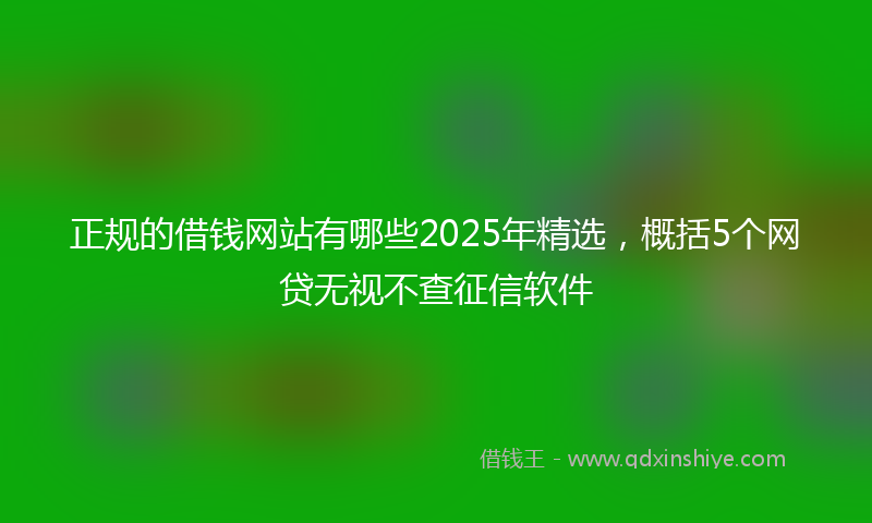 正规的借钱网站有哪些2025年精选，概括5个网贷无视不查征信软件