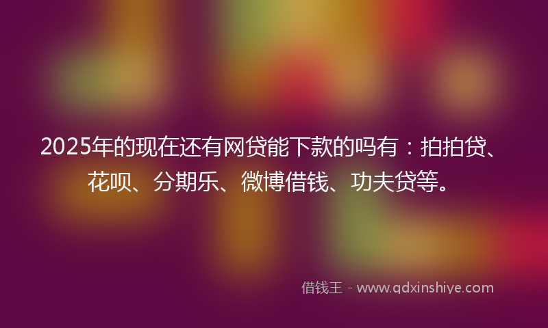 2025年的现在还有网贷能下款的吗有：拍拍贷、花呗、分期乐、微博借钱、功夫贷等。
