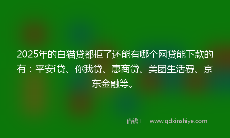 2025年的白猫贷都拒了还能有哪个网贷能下款的有：平安i贷、你我贷、惠商贷、美团生活费、京东金融等。