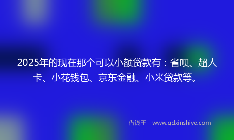 2025年的现在那个可以小额贷款有:省呗、超人卡、小花钱包、京东金融、小米贷款等。