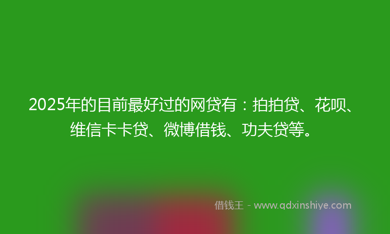 2025年的目前最好过的网贷有：拍拍贷、花呗、维信卡卡贷、微博借钱、功夫贷等。