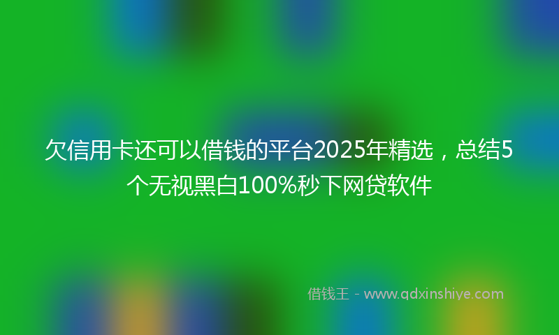 欠信用卡还可以借钱的平台2025年精选，总结5个无视黑白100%秒下网贷软件