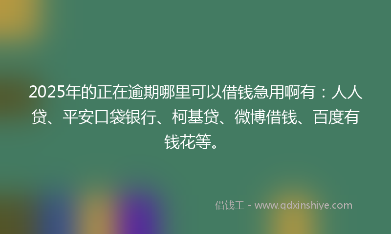 2025年的正在逾期哪里可以借钱急用啊有：人人贷、平安口袋银行、柯基贷、微博借钱、百度有钱花等。