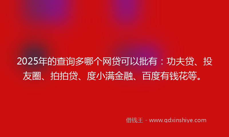 2025年的查询多哪个网贷可以批有：功夫贷、投友圈、拍拍贷、度小满金融、百度有钱花等。