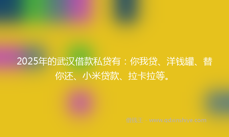 2025年的武汉借款私贷有：你我贷、洋钱罐、替你还、小米贷款、拉卡拉等。