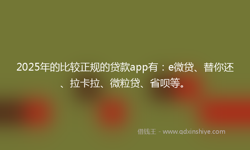 2025年的比较正规的贷款app有：e微贷、替你还、拉卡拉、微粒贷、省呗等。