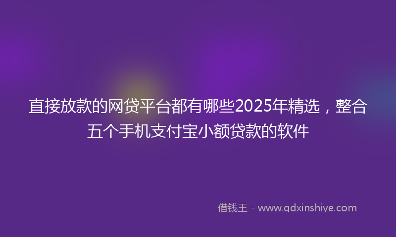 直接放款的网贷平台都有哪些2025年精选，整合五个手机支付宝小额贷款的软件