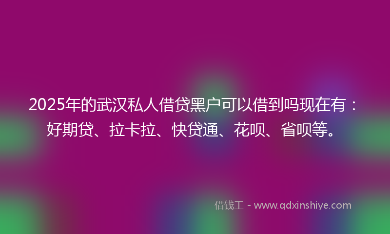 2025年的武汉私人借贷黑户可以借到吗现在有：好期贷、拉卡拉、快贷通、花呗、省呗等。