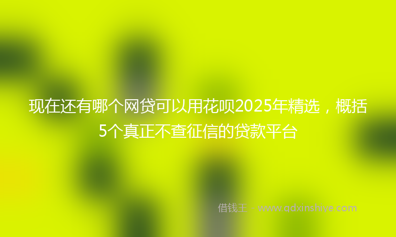 现在还有哪个网贷可以用花呗2025年精选，概括5个真正不查征信的贷款平台