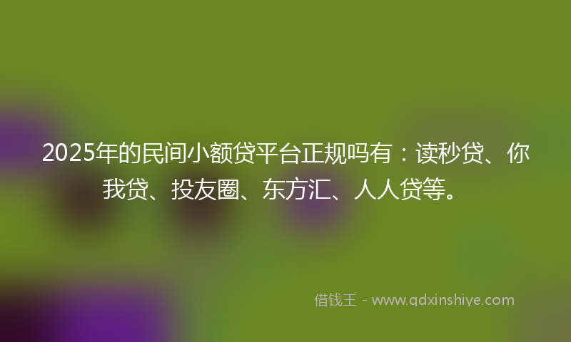 2025年的民间小额贷平台正规吗有：读秒贷、你我贷、投友圈、东方汇、人人贷等。