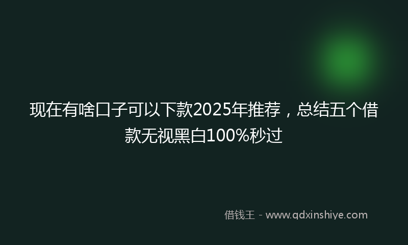 现在有啥口子可以下款2025年推荐，总结五个借款无视黑白100%秒过
