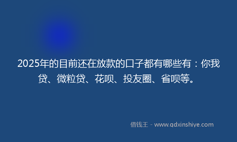 2025年的目前还在放款的口子都有哪些有：你我贷、微粒贷、花呗、投友圈、省呗等。