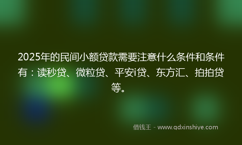 2025年的民间小额贷款需要注意什么条件和条件有：读秒贷、微粒贷、平安i贷、东方汇、拍拍贷等。