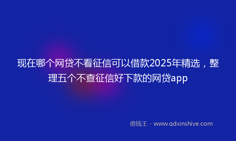 现在哪个网贷不看征信可以借款2025年精选，整理五个不查征信好下款的网贷app