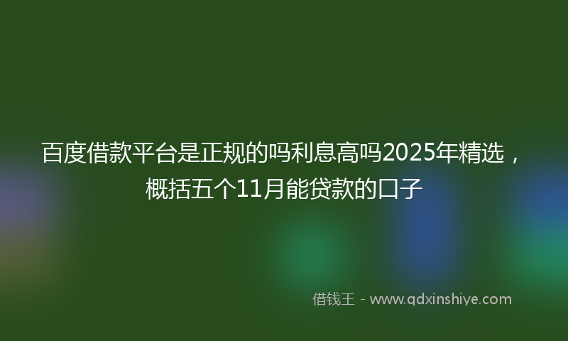 百度借款平台是正规的吗利息高吗2025年精选，概括五个11月能贷款的口子
