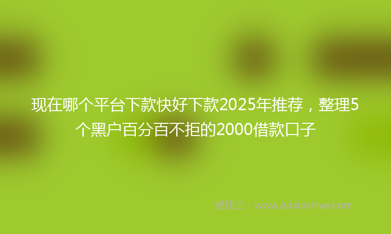 现在哪个平台下款快好下款2025年推荐，整理5个黑户百分百不拒的2000借款口子