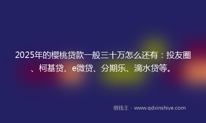 2025年的樱桃贷款一般三十万怎么还有：投友圈、柯基贷、e微贷、分期乐、滴水贷等。