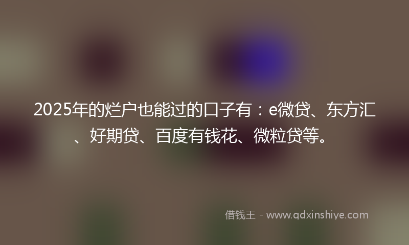 2025年的烂户也能过的口子有：e微贷、东方汇、好期贷、百度有钱花、微粒贷等。