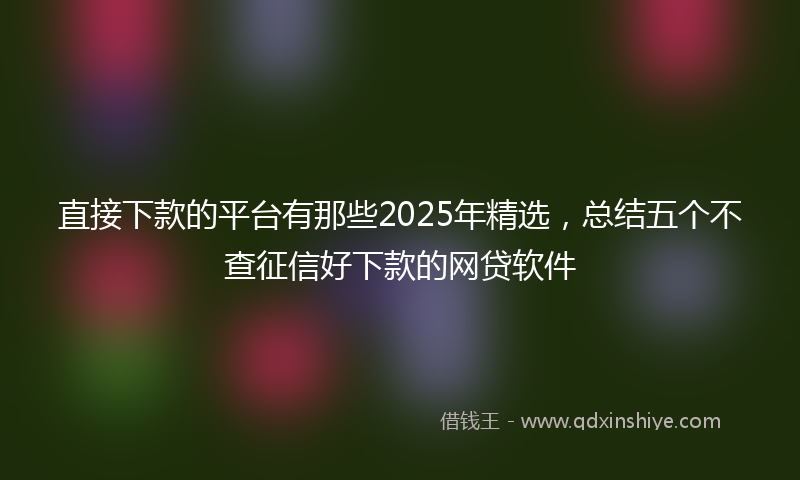 直接下款的平台有那些2025年精选，总结五个不查征信好下款的网贷软件