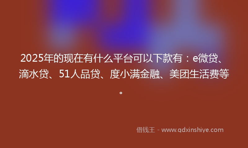 2025年的现在有什么平台可以下款有：e微贷、滴水贷、51人品贷、度小满金融、美团生活费等。