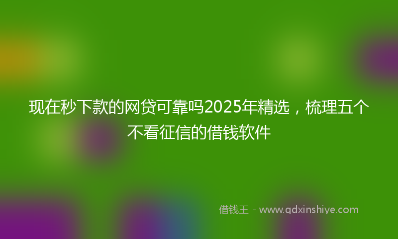 现在秒下款的网贷可靠吗2025年精选，梳理五个不看征信的借钱软件