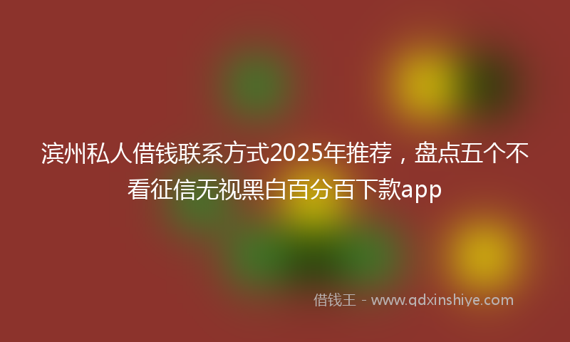 滨州私人借钱联系方式2025年推荐，盘点五个不看征信无视黑白百分百下款app