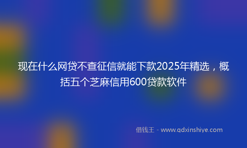 现在什么网贷不查征信就能下款2025年精选，概括五个芝麻信用600贷款软件