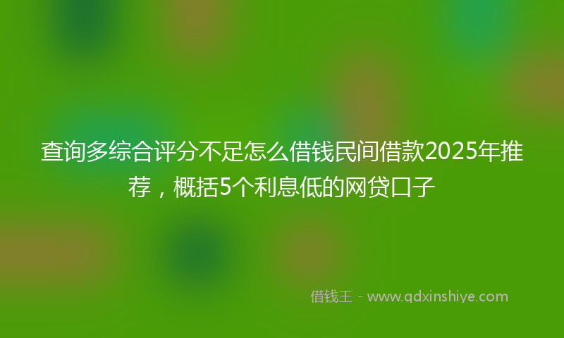 查询多综合评分不足怎么借钱民间借款2025年推荐，概括5个利息低的网贷口子
