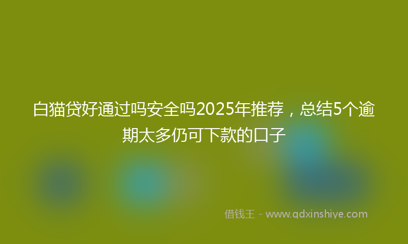 白猫贷好通过吗安全吗2025年推荐，总结5个逾期太多仍可下款的口子
