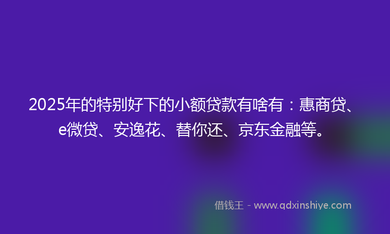 2025年的特别好下的小额贷款有啥有：惠商贷、e微贷、安逸花、替你还、京东金融等。