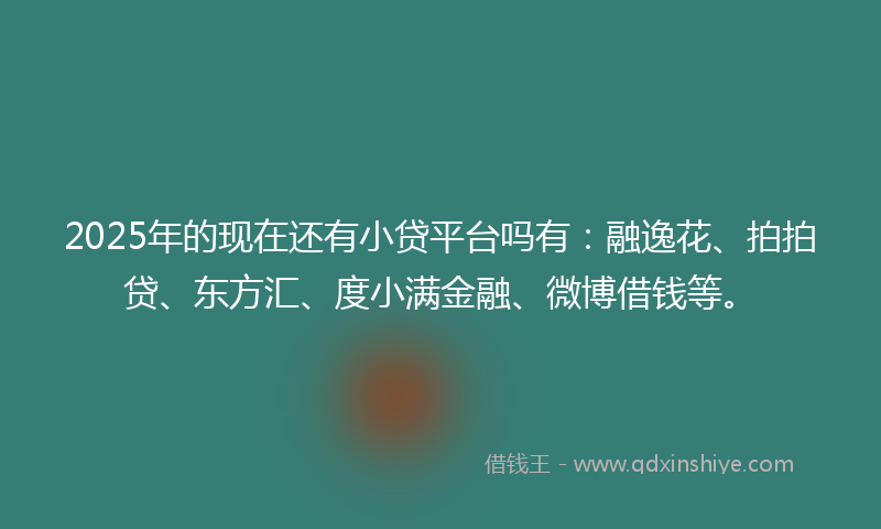 2025年的现在还有小贷平台吗有：融逸花、拍拍贷、东方汇、度小满金融、微博借钱等。