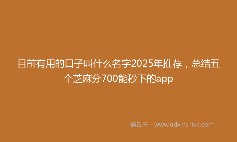 目前有用的口子叫什么名字2025年推荐，总结五个芝麻分700能秒下的app