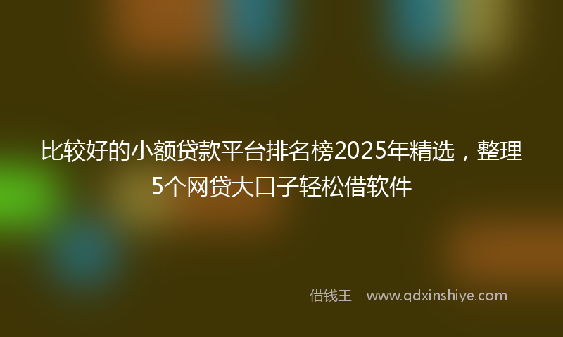 比较好的小额贷款平台排名榜2025年精选，整理5个网贷大口子轻松借软件