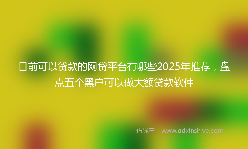 目前可以贷款的网贷平台有哪些2025年推荐，盘点五个黑户可以做大额贷款软件