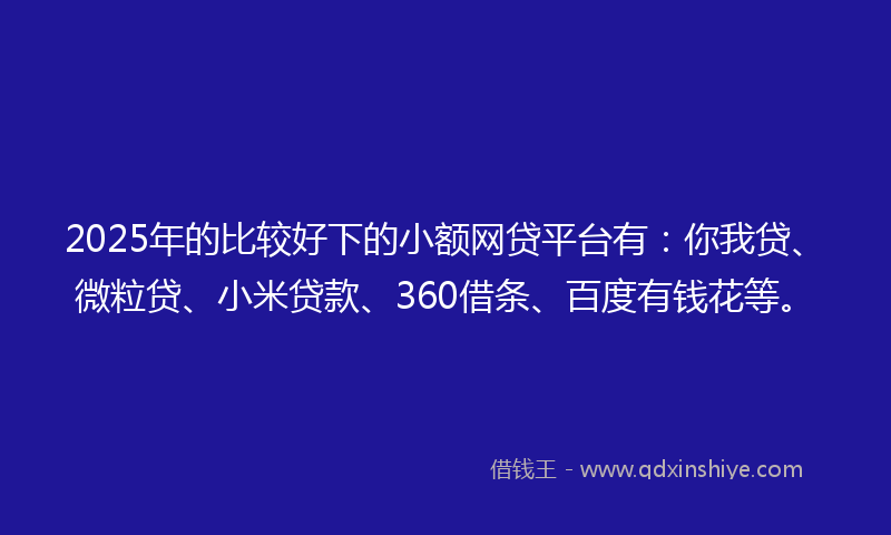2025年的比较好下的小额网贷平台有：你我贷、微粒贷、小米贷款、360借条、百度有钱花等。