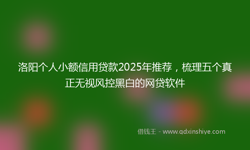 洛阳个人小额信用贷款2025年推荐，梳理五个真正无视风控黑白的网贷软件