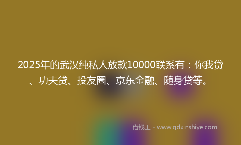 2025年的武汉纯私人放款10000联系有：你我贷、功夫贷、投友圈、京东金融、随身贷等。